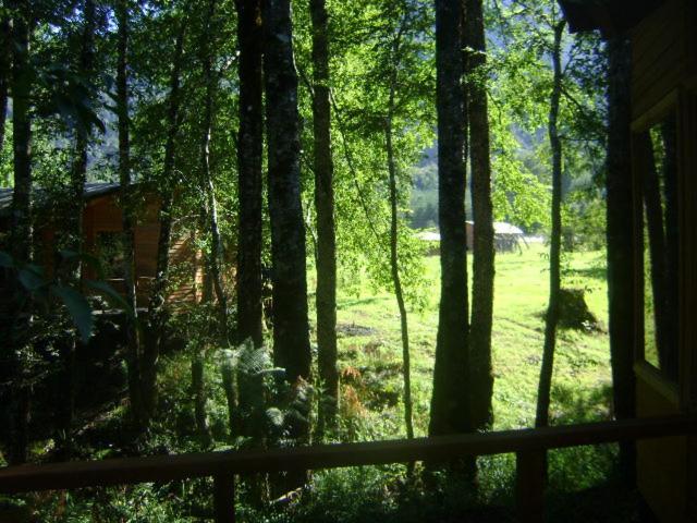 Willa Patagonia Mawida Neltume Zewnętrze zdjęcie