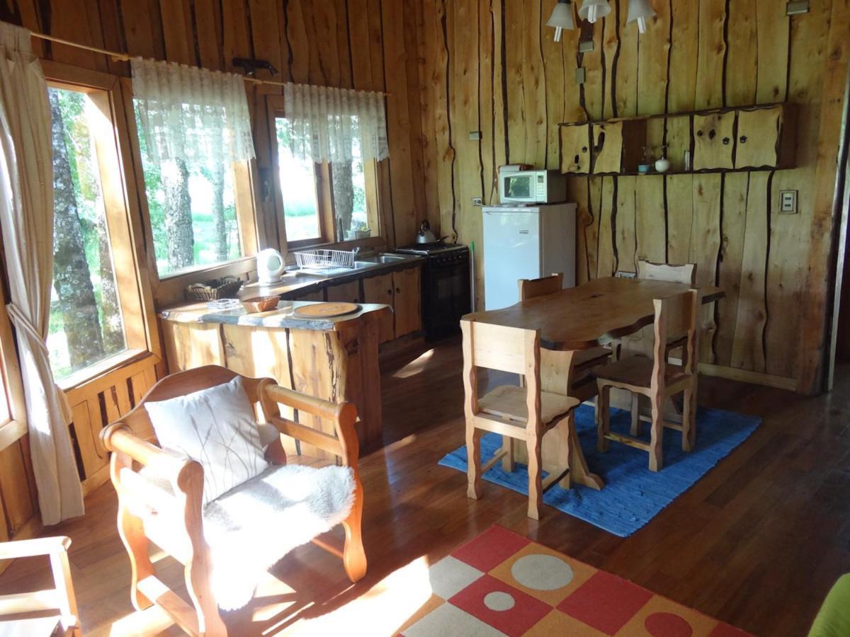 Willa Patagonia Mawida Neltume Zewnętrze zdjęcie