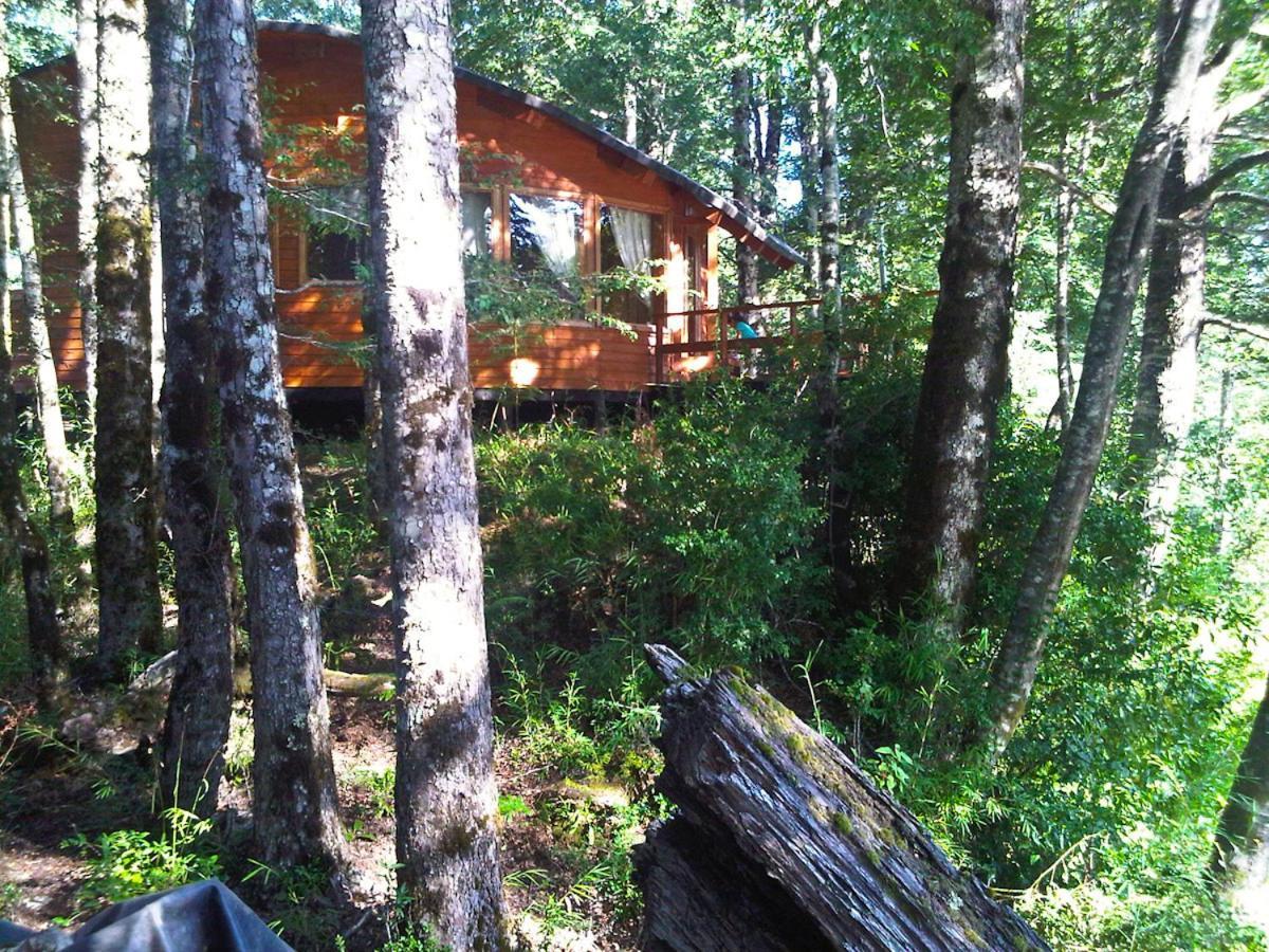 Willa Patagonia Mawida Neltume Zewnętrze zdjęcie