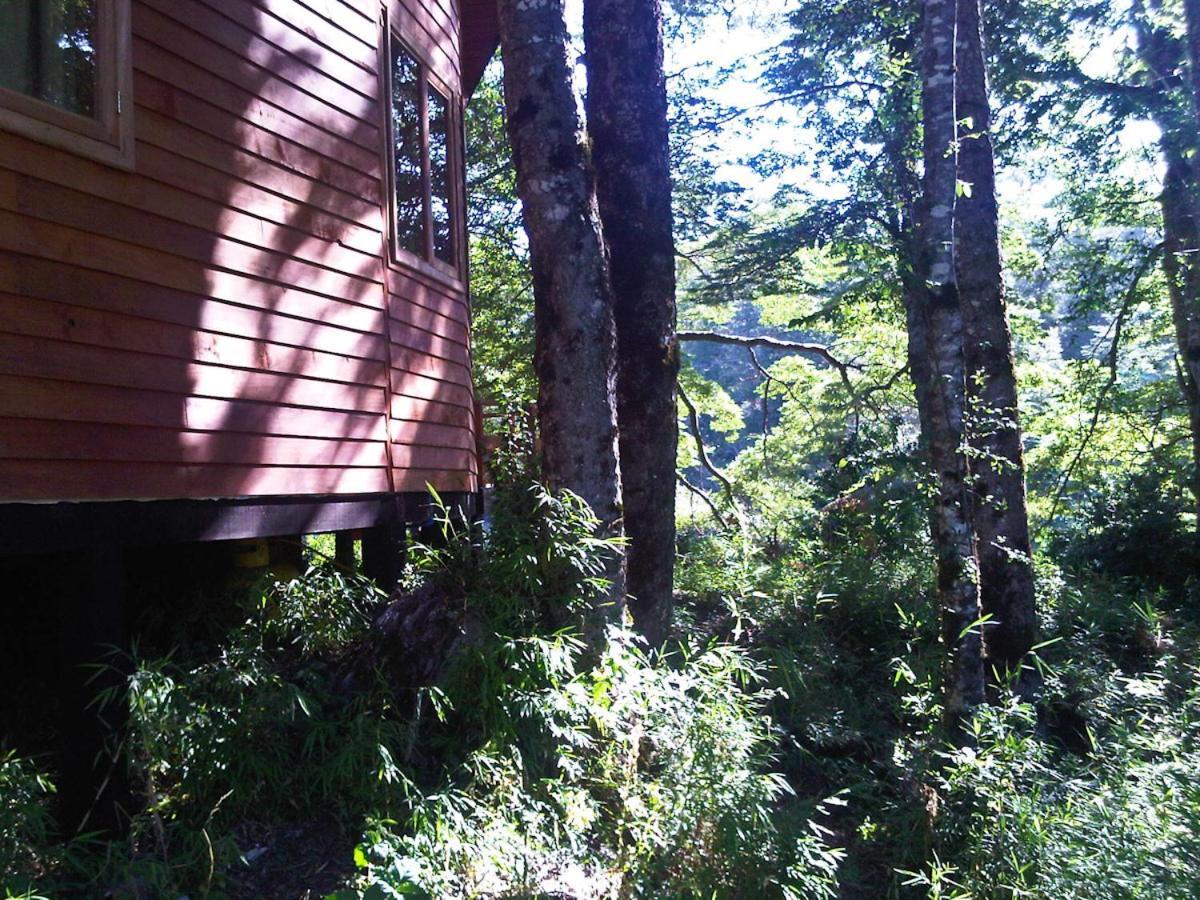 Willa Patagonia Mawida Neltume Zewnętrze zdjęcie